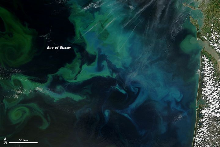 NASA&#039;s Terra satellite captured this natural-color image of phytoplankton blooms on May 4, 2013, in France&#039;s Bay of Biscay.