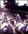 21914760-E0E0-4E36-AE6E-C9867957A05A.jpg