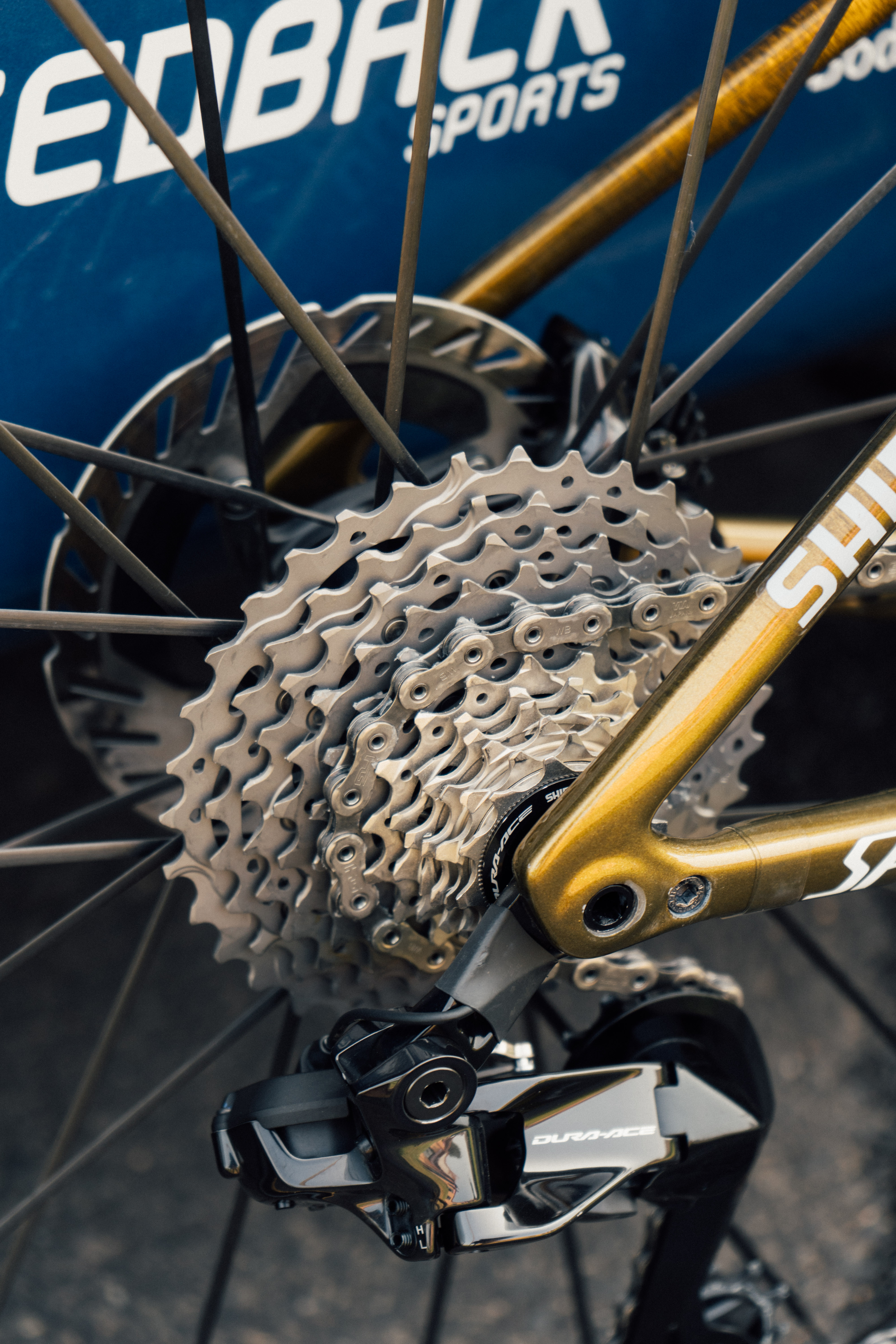 Remco Evenepoel's race bike