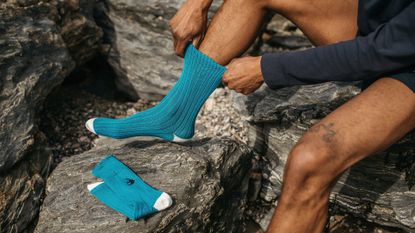 Finisterre NHM collab socks