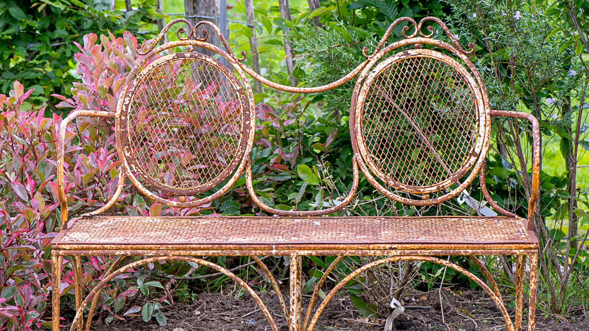 Rusty garden bench