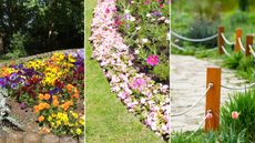 Lawn edging ideas are great. Here are three of these - brick lawn edging with orange, yellow, and purple pansies, a pink curved flowerbed with a lawn next to it, and wooden fence poles with white rope and a gravel path