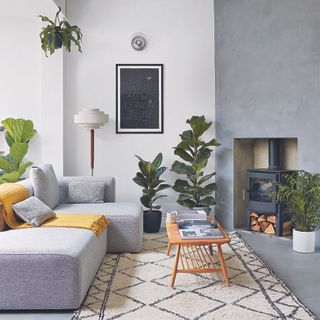 Modern living room with concrete-effect wall and plants.
