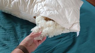 Woolroom Deluxe Washable Wool Pillow on test on a bed with a teal sheet – reviewer Caramel Quinn's hand is shown removing some of the wool stuffing