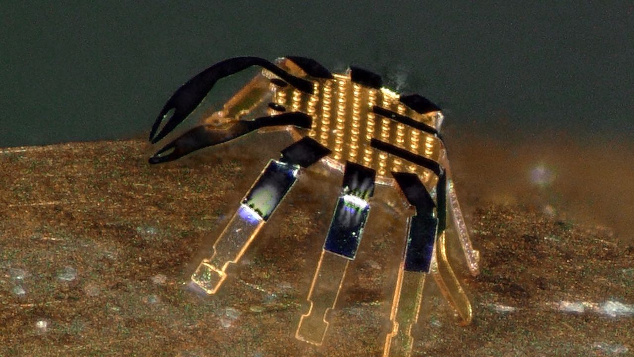 Mini robot crab