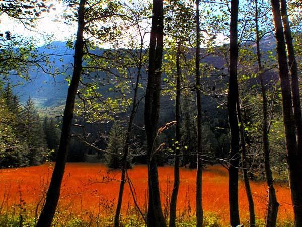 Plenty of color in the mountains