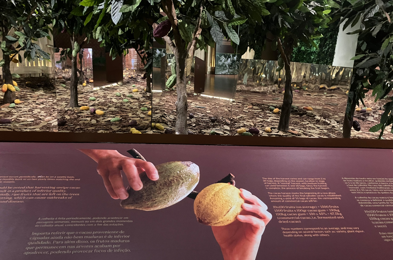 Museum exhibit about chocolate