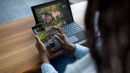 Mylio Photos app is free forever