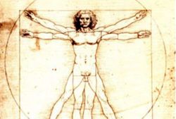 Leonardo da Vinci's 'Vitruvian Man' is said to illustrate the golden ratio.