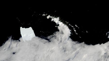 Antarctic iceberg A-23A stuck in shallow waters off the coast of South Georgia island in the South Atlantic Ocean on March 4, 2025, as seen by the MODIS instrument on NASA's Aqua satellite.