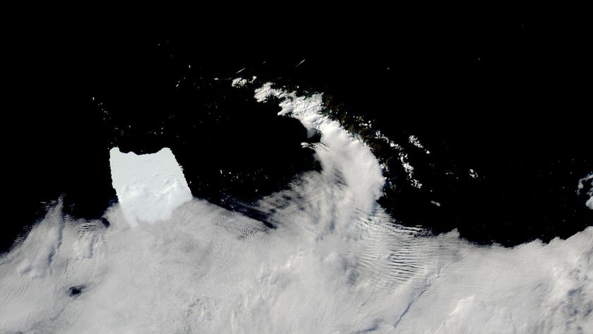 Antarctic iceberg A-23A stuck in shallow waters off the coast of South Georgia island in the South Atlantic Ocean on March 4, 2025, as seen by the MODIS instrument on NASA&#039;s Aqua satellite.