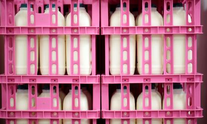 Bottles of semi-skimmed milk sit in the refrigeration storage room crates at the Our Cow Molly Farm and Dairy in this arranged photograph taken near Sheffield, U.K