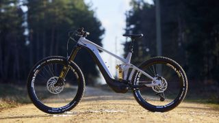 Rob Warner's Giant e-Reign e-MTB