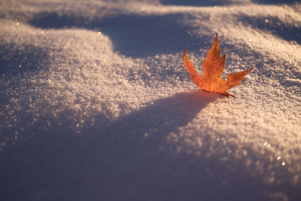 A photograph taken with the Fujifilm XF 23mm f/2.8 R WR and the X-E5