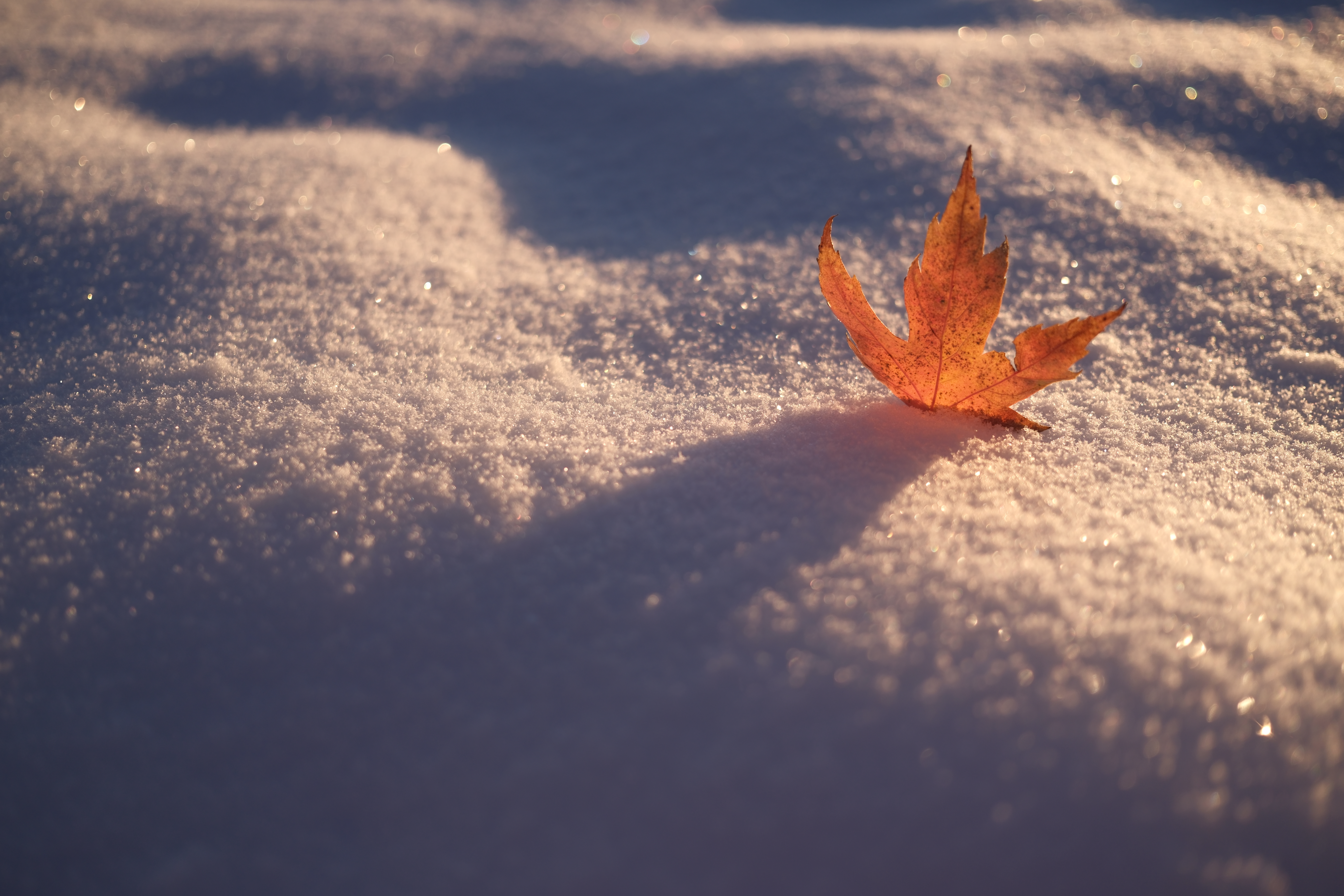 A photograph taken with the Fujifilm XF 23mm f/2.8 R WR and the X-E5