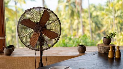 A rusty electric fan in front of an open window, beside a wooden table with a salt and pepper shaker on it 