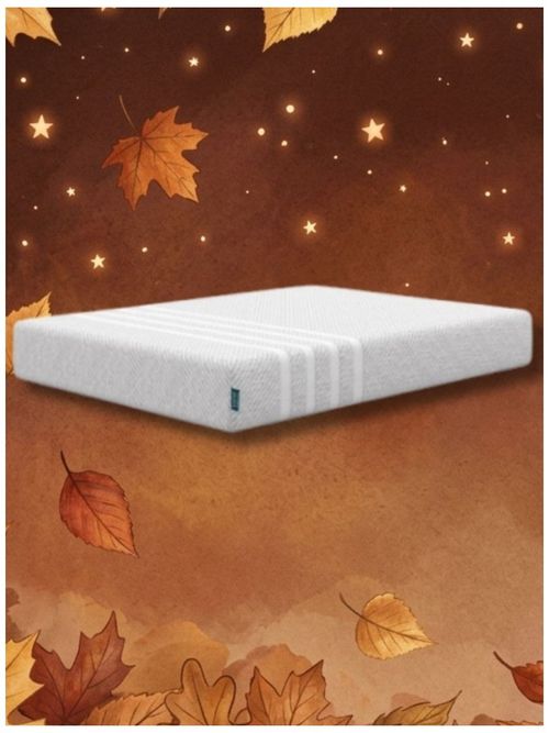 Studio Mattress (twin)