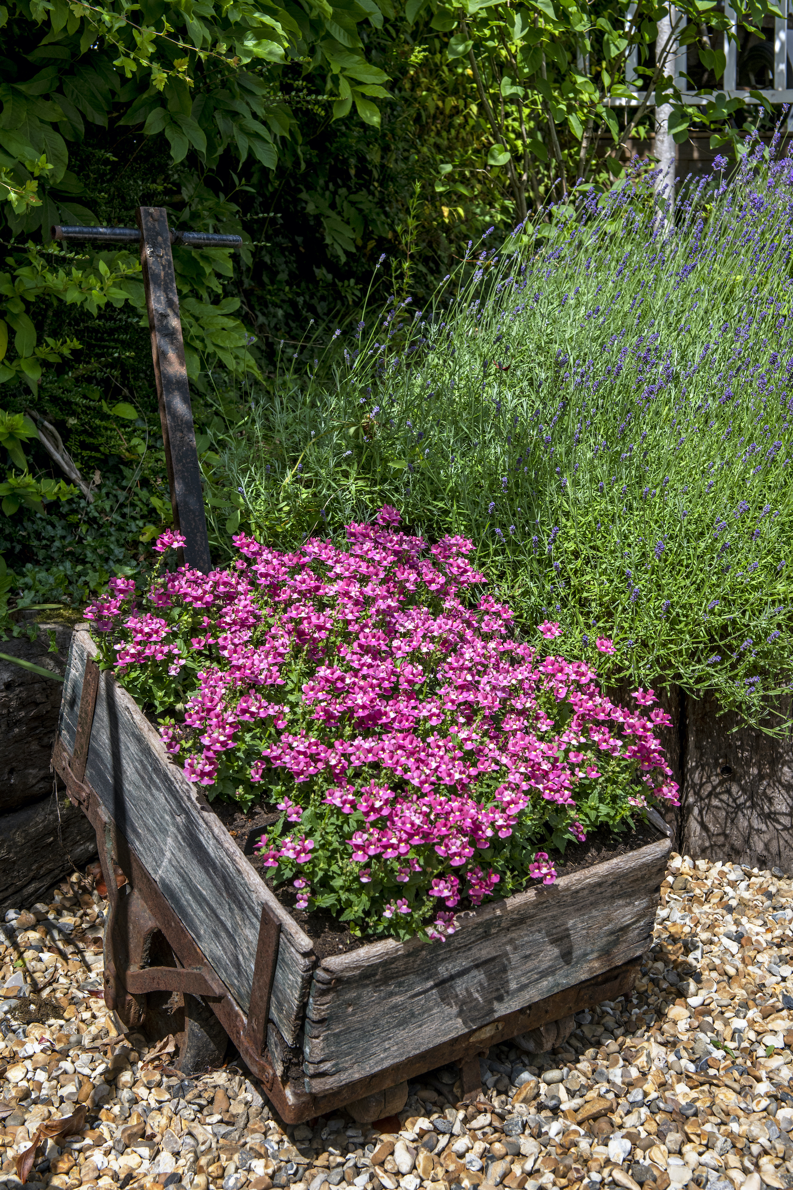 country garden ideas