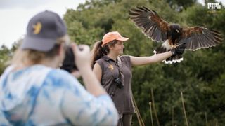 Camera cheat codes: how to shoot birds in flight