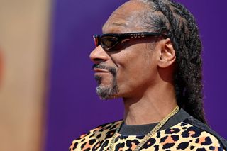 Snoop Dogg in NFT story