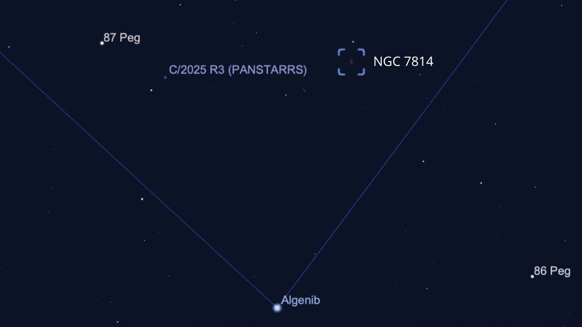 رسم بياني للسماء ليلاً يوضح موقع المذنب panstarrs بجوار NGC 7814.