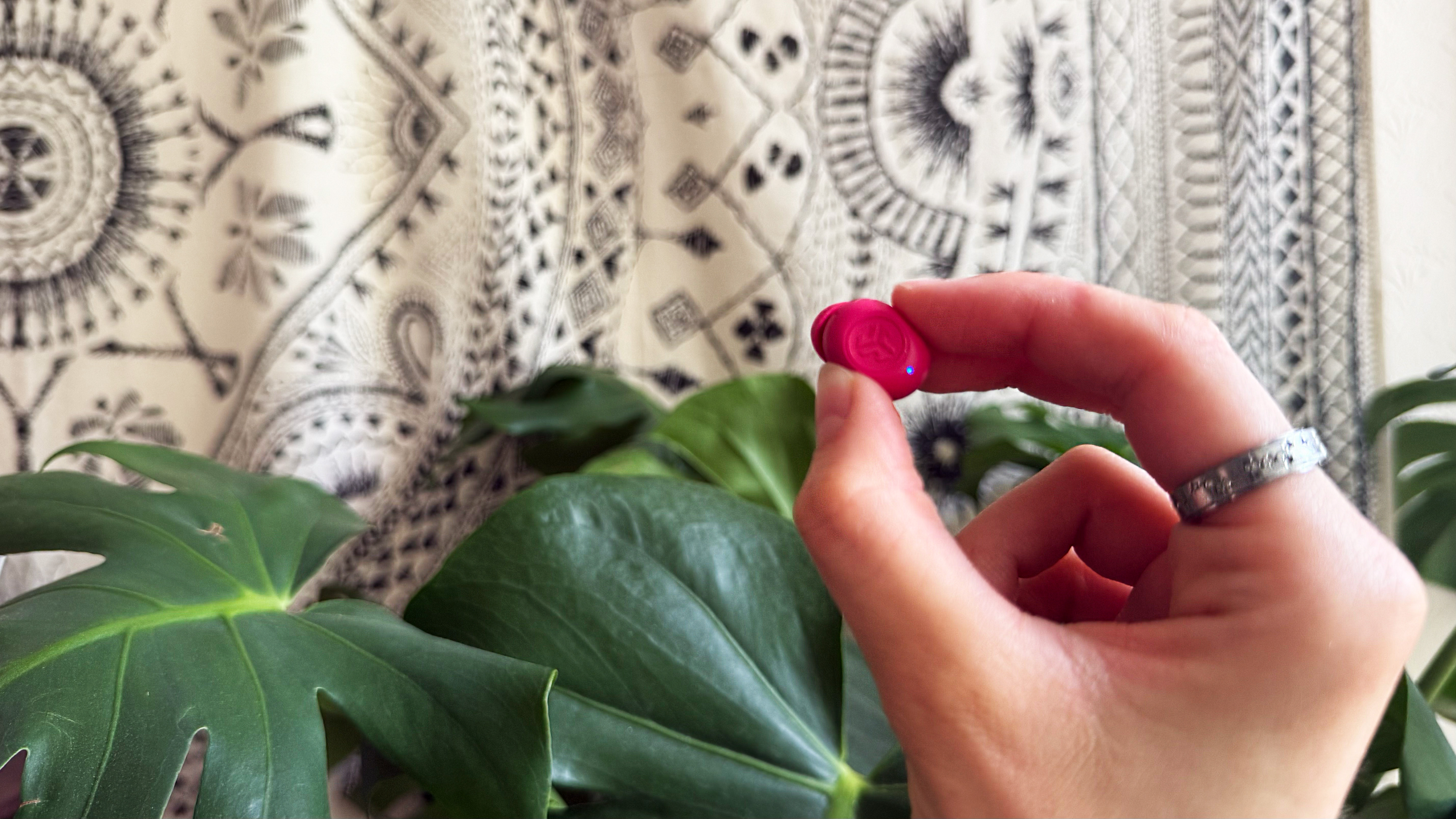 the jlab jbuds mini earbuds in hot pink. the author is holding the buds, showing the small size with a plant and tapestry in the background