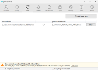 pCloud cloud storage service in action showing local folder syncing