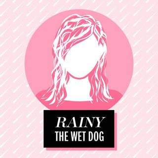 Rainy: The Wet Dog