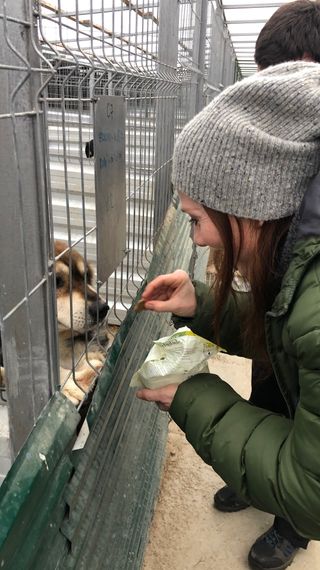 Rosie Marcel meeting stray dogs with The Pack Project