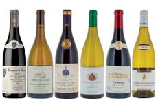 DWWA top Burgundy