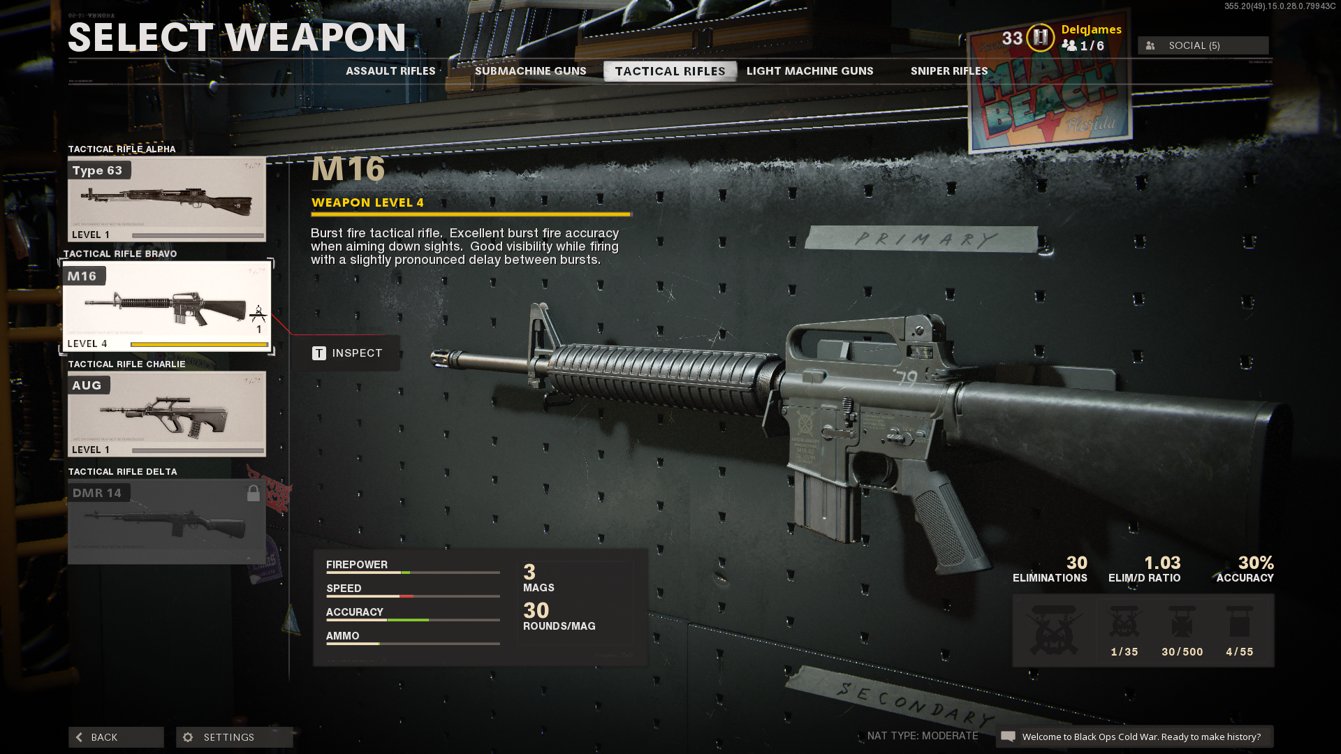 Black Ops Cold War best guns: M16