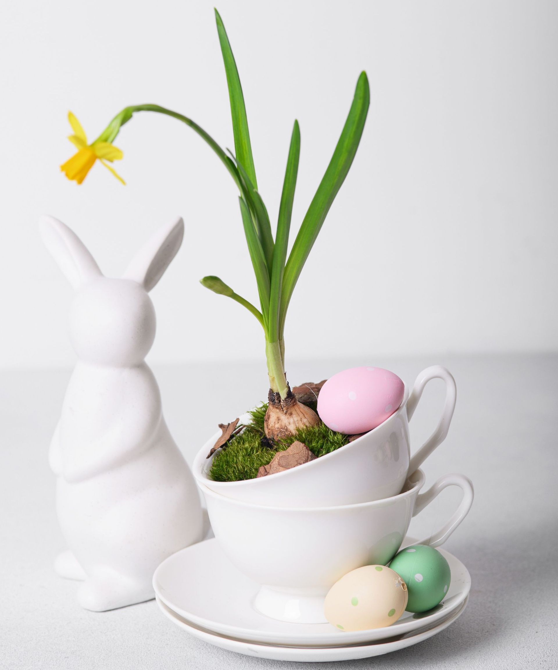 A creative spring composition featuring a blooming yellow daffodil bulb planted in a stack of white teacups with moss and fallen leaves. A ceramic bunny figurine stands beside the setup, along with pastel-colored decorative Easter eggs, creating a charming and minimalistic holiday display. Perfect for Easter celebrations, spring themes, and nature-inspired decor.