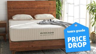 Avocado Eco Organic Mattress on a bed with two plants to the right of it