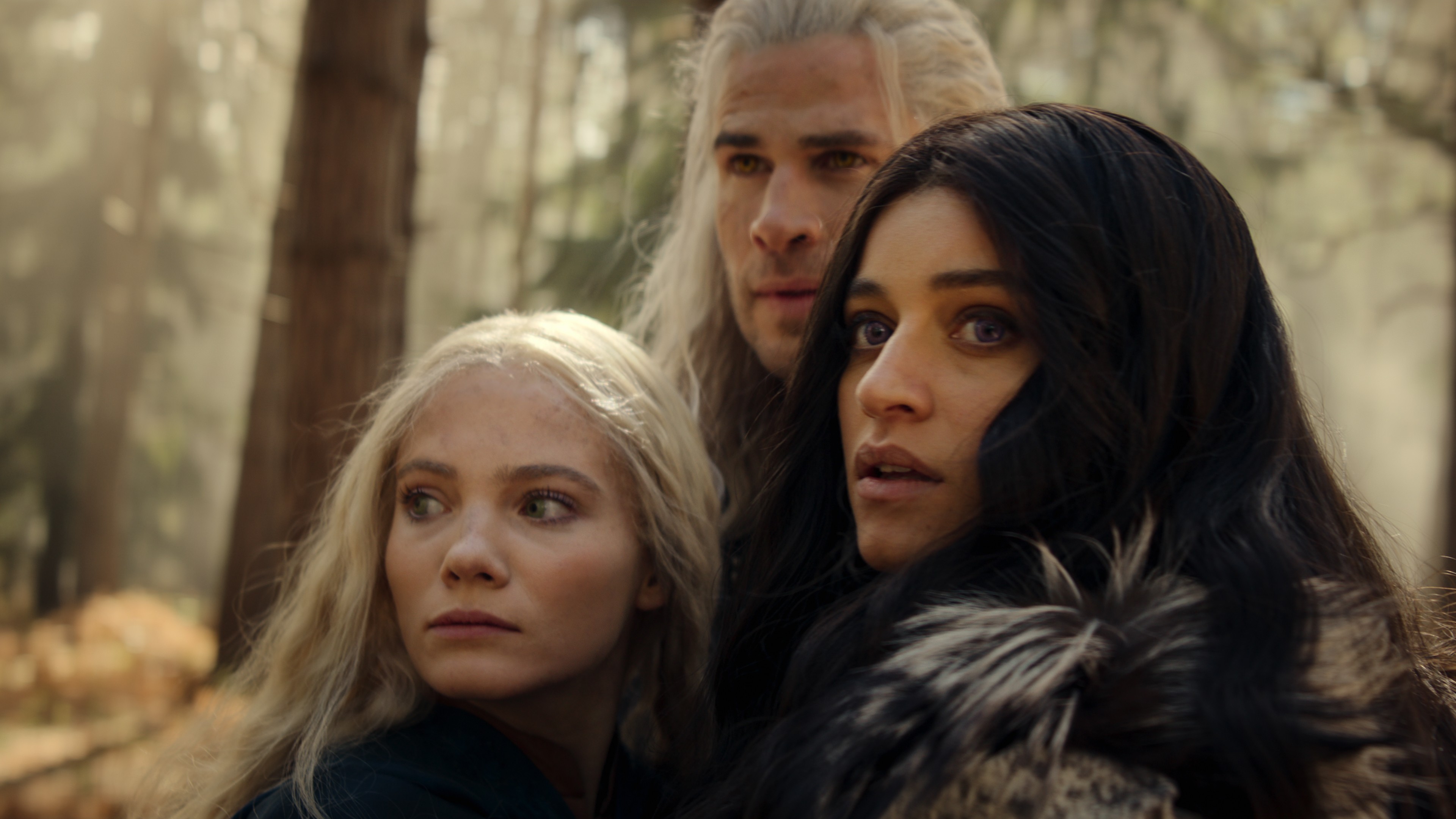 The Witcher Season 4