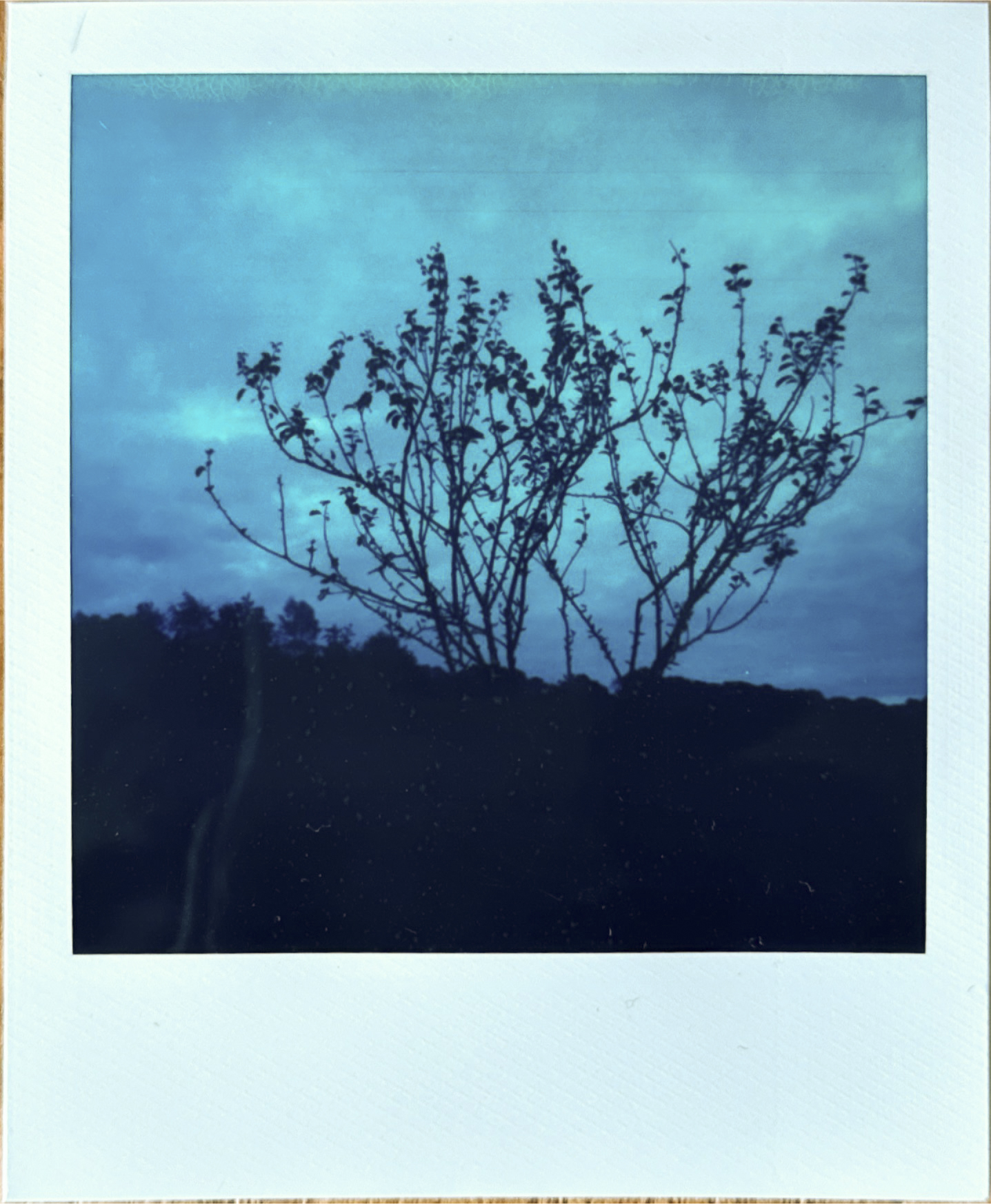 A scanned in print of Polaroid Reclaimed Blue 600 Film