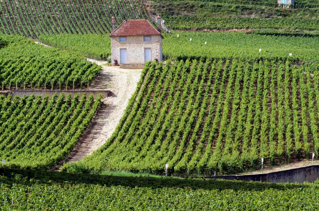 2018 C&ocirc;te de Nuits