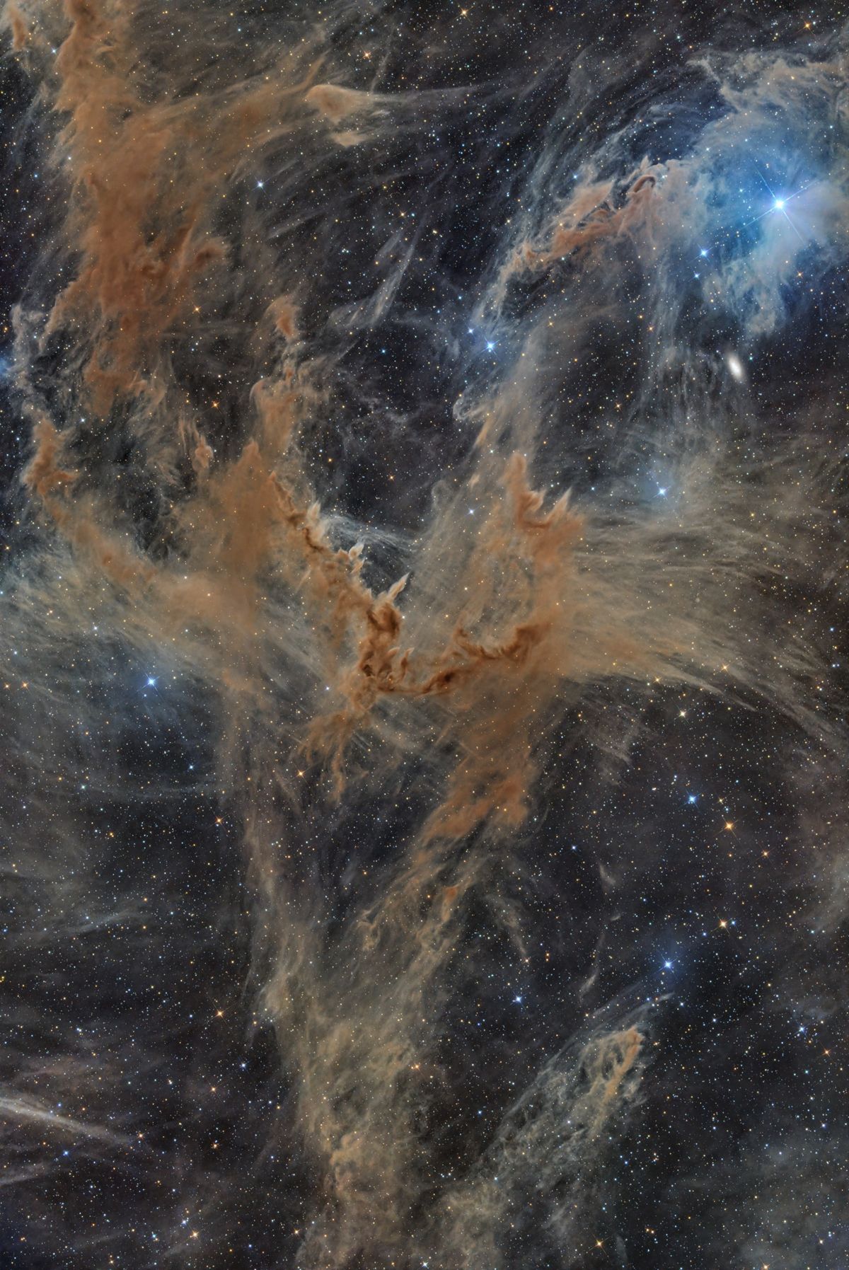 The Chameleon Dark Clouds in the constellation Chamaeleon, captured from Namibia. The image reveals intricate streams of interstellar dust illuminated by delica