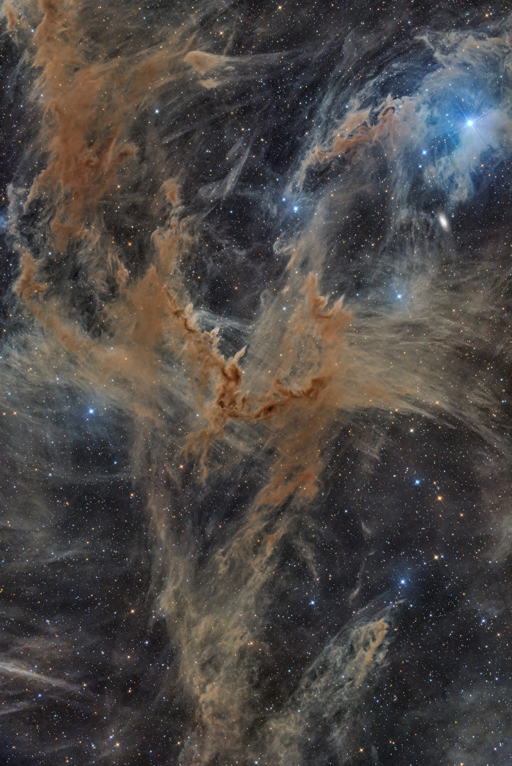 The Chameleon Dark Clouds in the constellation Chamaeleon, captured from Namibia. The image reveals intricate streams of interstellar dust illuminated by delicate blue reflection nebulae.