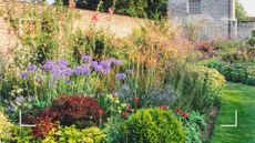 A walled garden flowerbed filled with colourful summer flowers to ask should outdoor plants be watered every day in hot weather