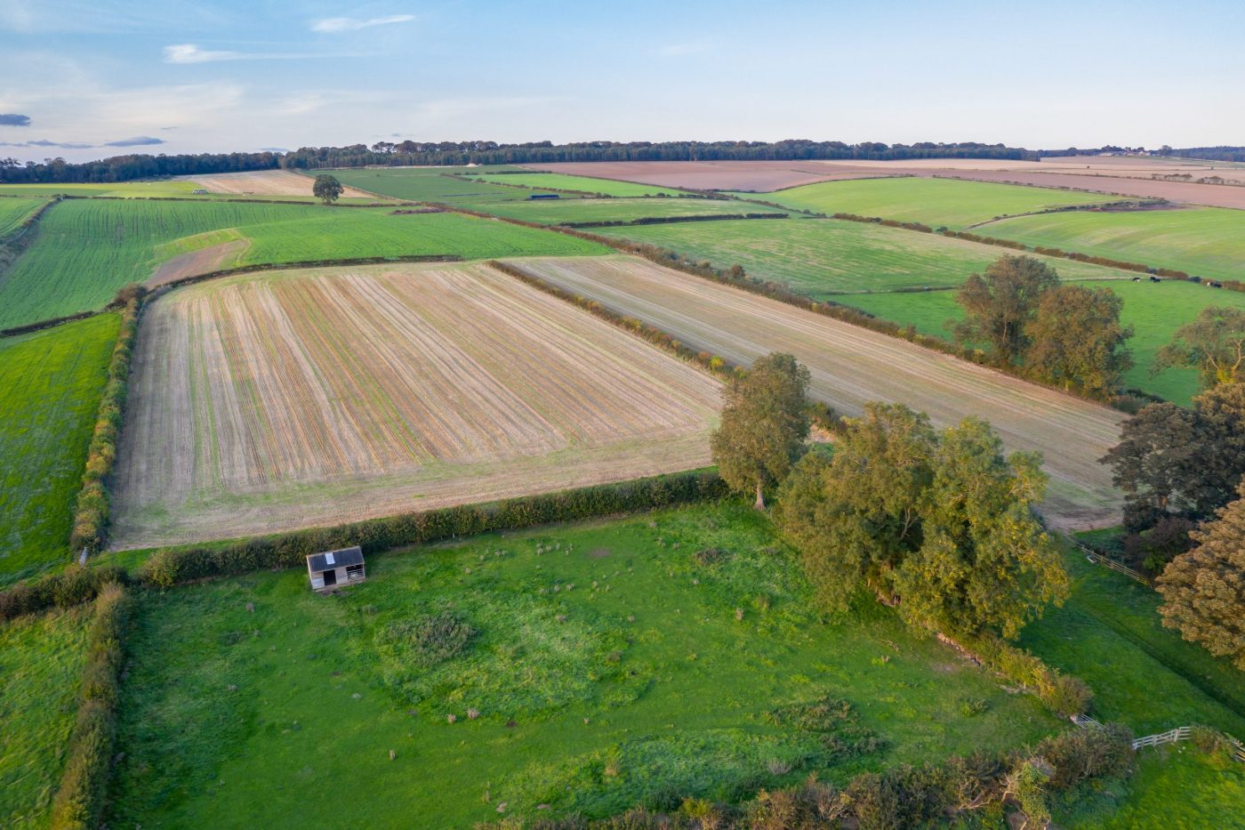 Prospect-Farm-Aerial-F-scaled-e1608205367532.jpg