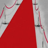 15ft Hollywood Party Decoration Fabric Red Carpet Floor Runner available at Amazon for $14.95