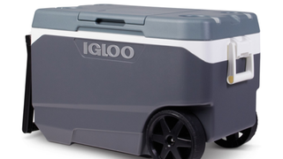 Grey Igloo cooler