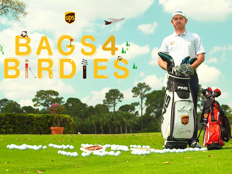 #bagsforbirdies