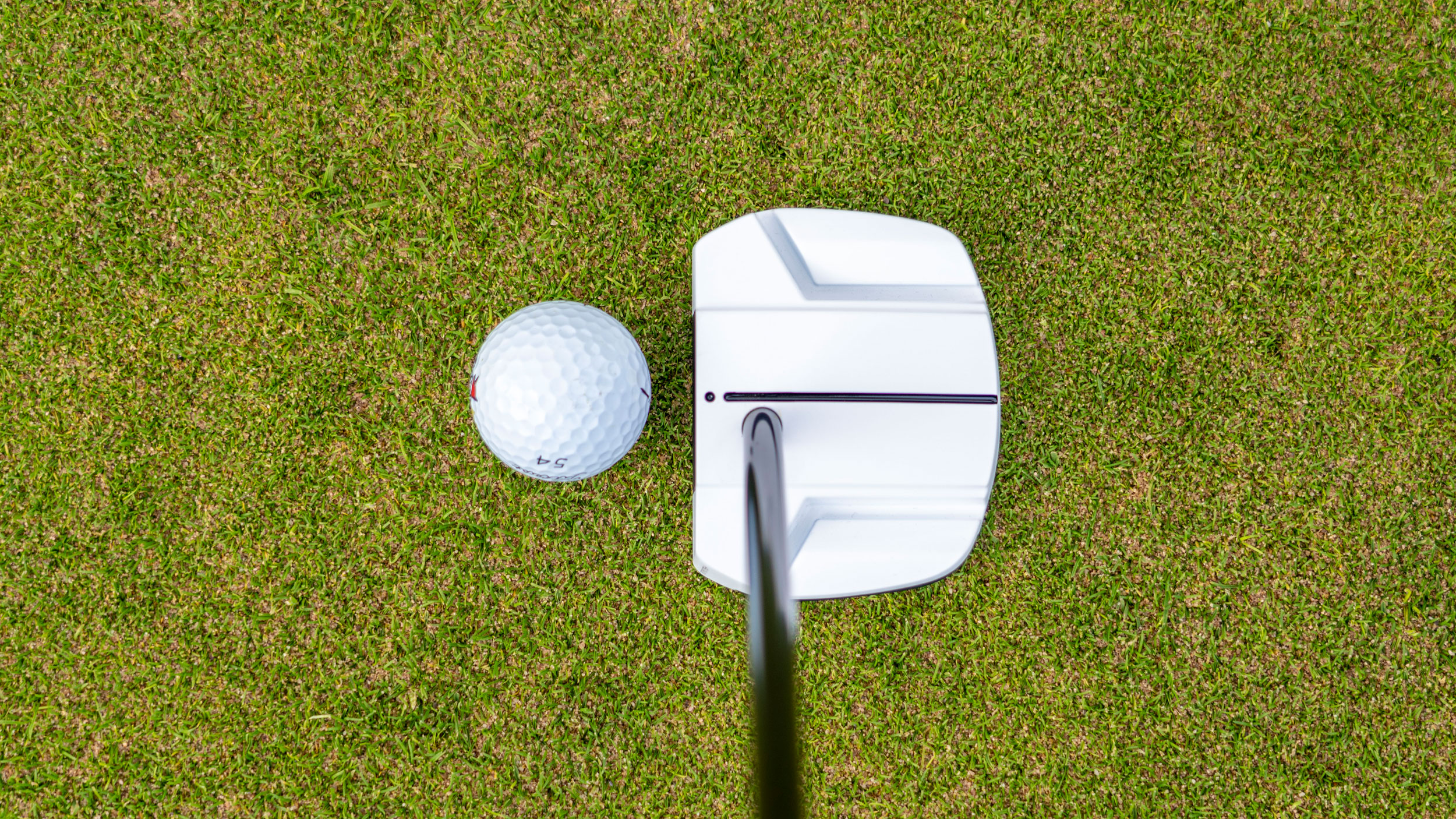 Ping Ally Blue Onset Putter Review