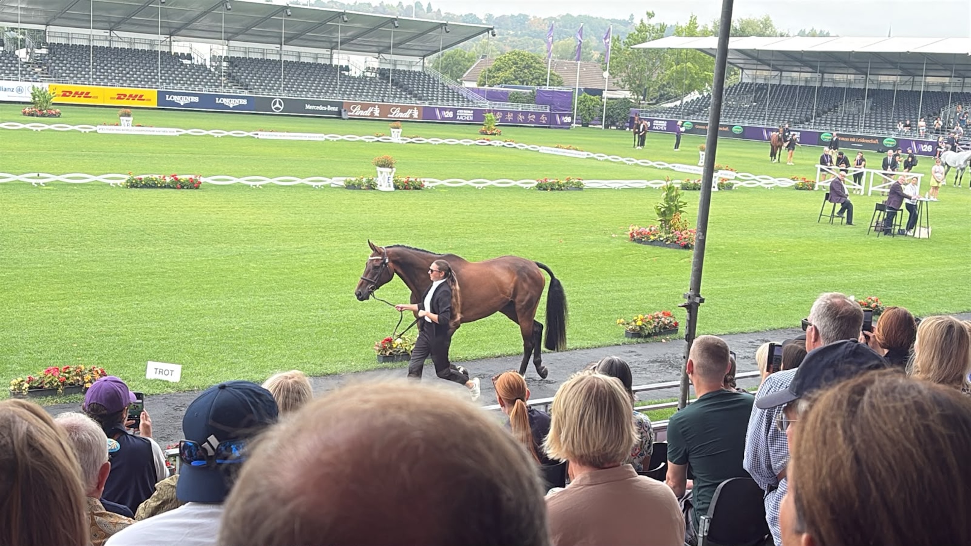 Horse at inspection in Aachen main arena