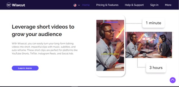 Website screenshot for WiseCut