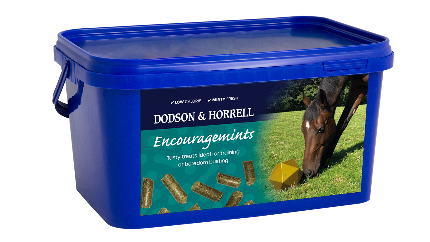 Dodson &amp;amp; Horrell Encouragemints