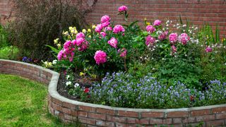 A flower bed full of peonies and perennials