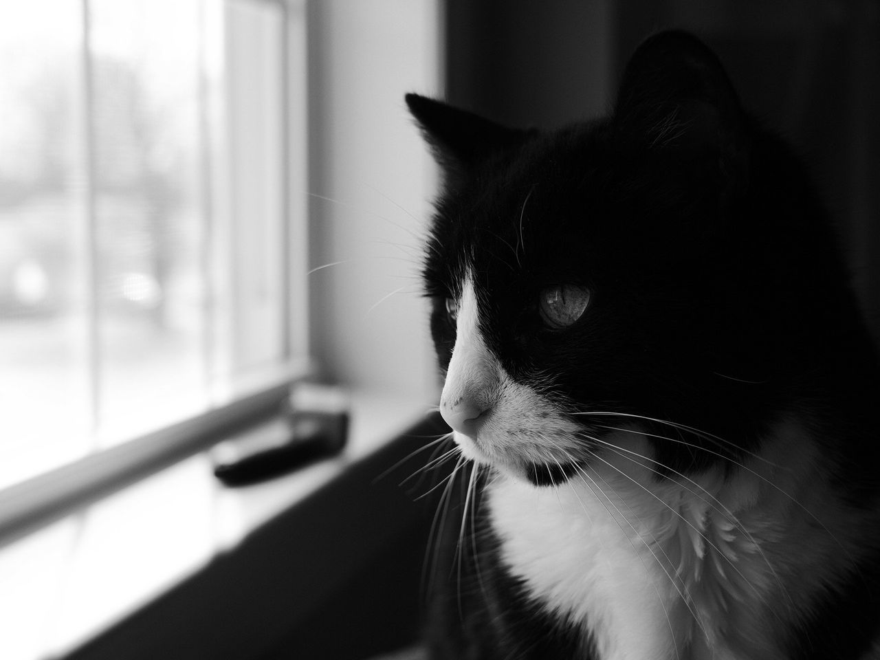 Zoe