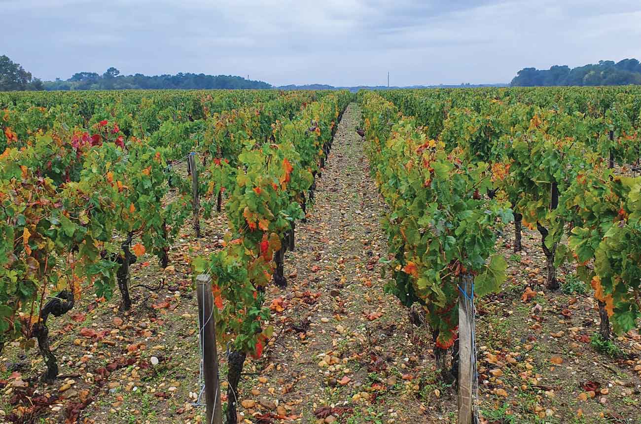 Moulis &amp; Listrac